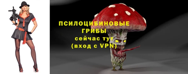 ешки Абинск