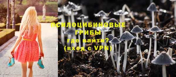 ешки Абинск