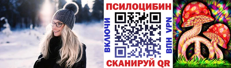 купить наркотики сайты  Приволжск  MEGA ссылки  Псилоцибиновые грибы Psilocybe 