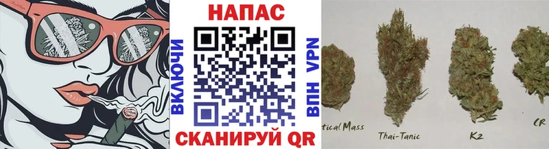 магазин    OMG маркетплейс  Бошки Шишки White Widow  Приволжск 